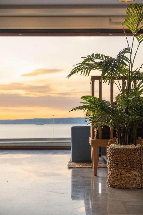Villa Almy بلاكا المظهر الخارجي الصورة
